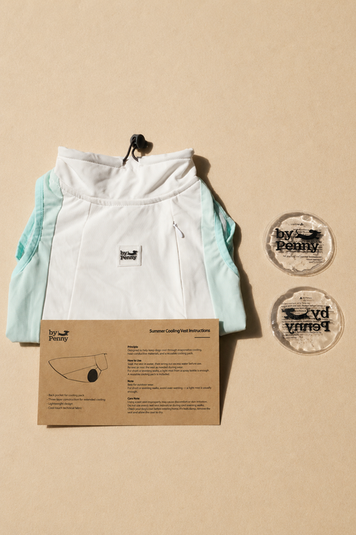 Summer Cooling Vest