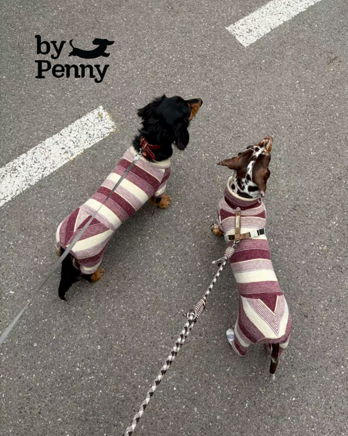 Mulberry Stripe Onesie