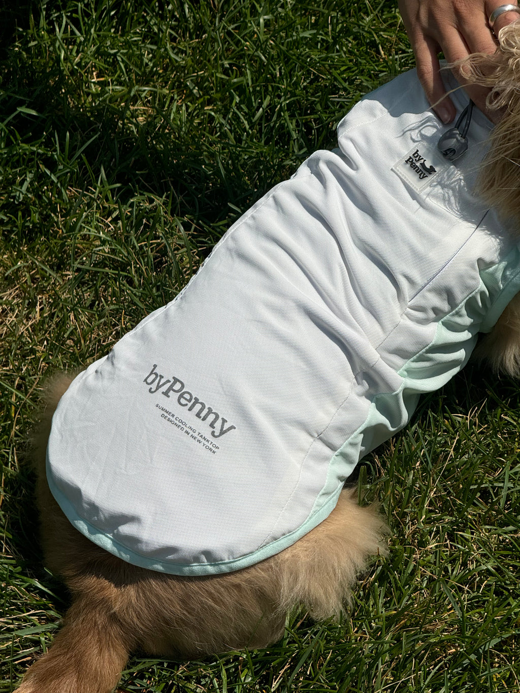 Summer Cooling Vest